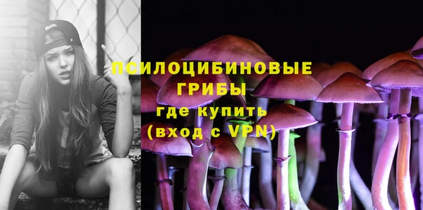 синтетический гашиш Медногорск