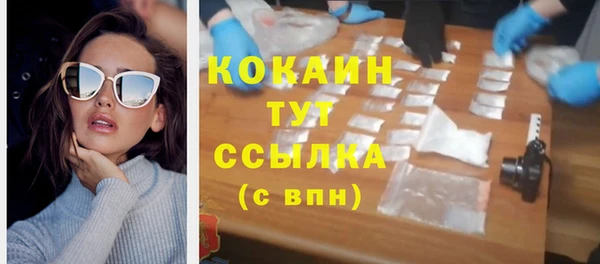 гашик Мегион