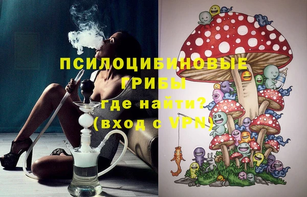 гашик Мегион