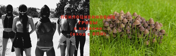 винт Медвежьегорск