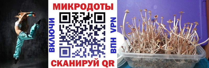Галлюциногенные грибы MAGIC MUSHROOMS купить наркоту Белгород